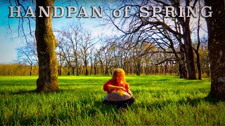 Handpan of Spring - Ambient Meditation Music for Serenity and Soul Healing