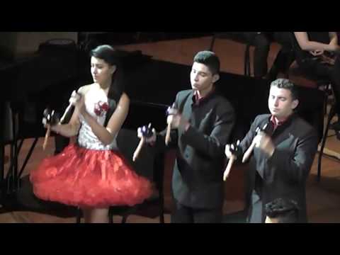 Concierto en la Llanura - Juan Vicente Torrealba - Arpas de Colombia
