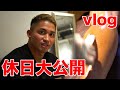 とある日のゴリラの休日の過ごし方