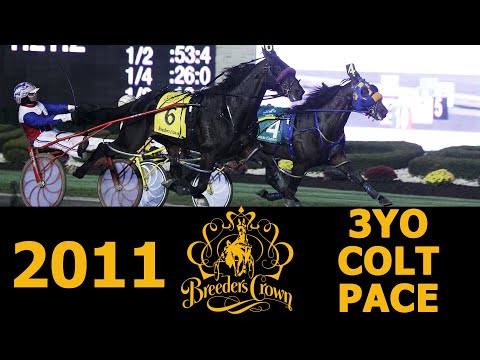 2011 Breeders Crown - Betterthancheddar - 3CP