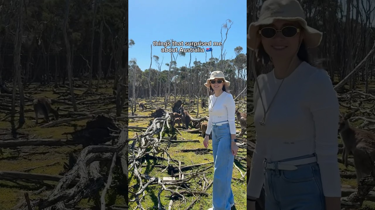 things that surprised me about Australia 🇦🇺