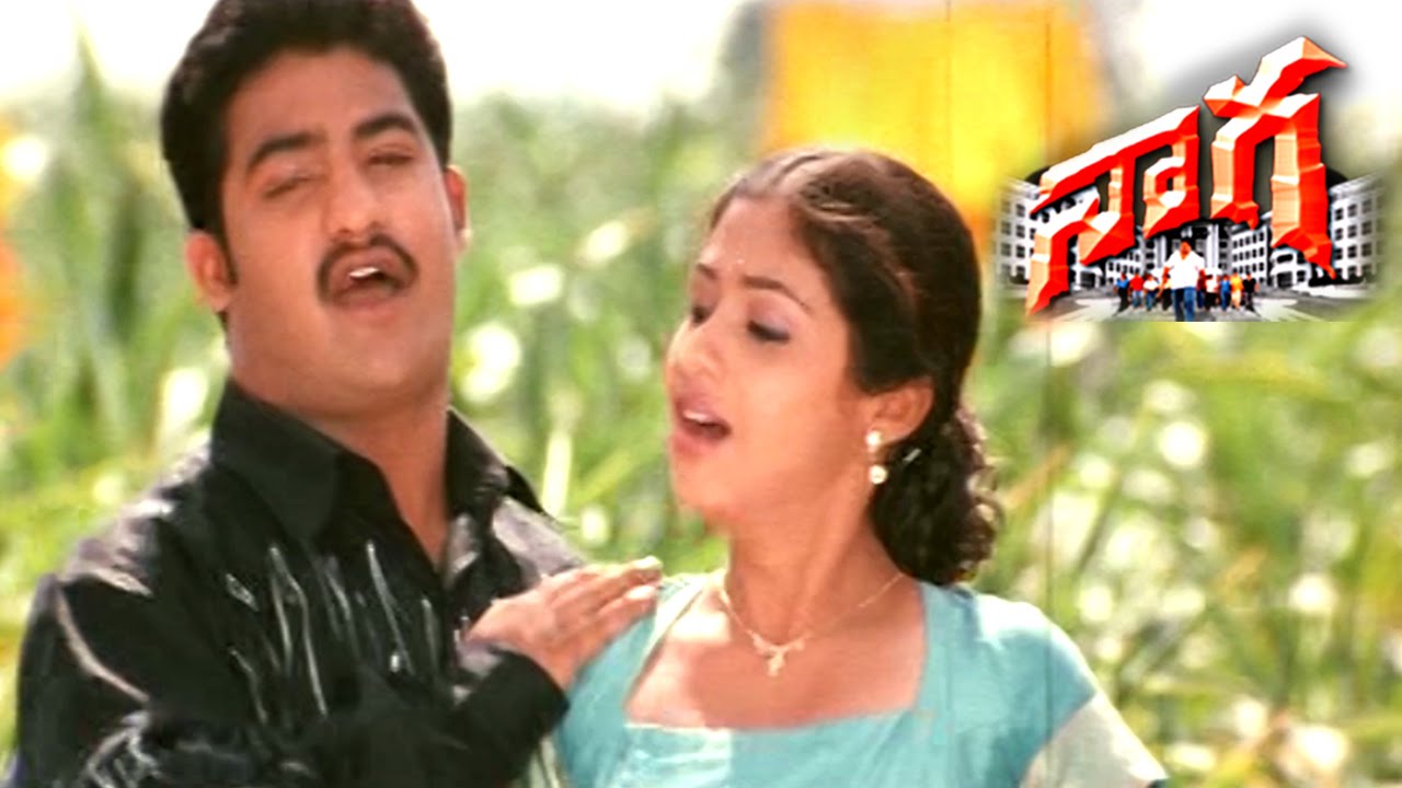 Megham Karigenu Lyrics  | Naaga | Junior NTR, Sada | Chinmayee, Karthik | Deva