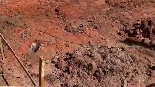 Vídeo 4