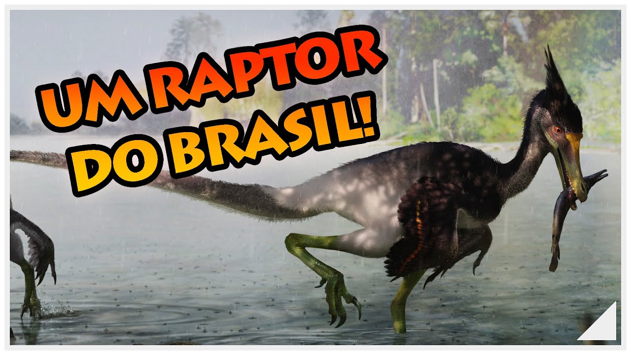Acharam um RAPTOR no Brasil!!