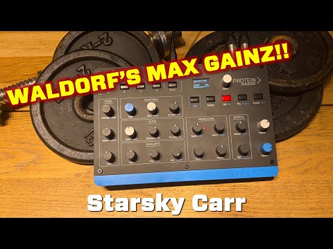 Waldorf Protein | Desktop Synthesizer. New with Full Warranty! image 10