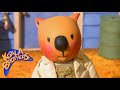 The Koala Brothers Ned Goes Red Children S Animation Series