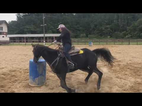 TREINO DE TRÊS TAMBORES PARA PROVA