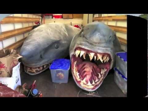 █▬█ █ ▀█▀ Historic And First Two-Headed Mutant Shark Discovered on Florida سمكه قرش براسين