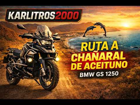 Ruta a Chañaral de aceituno