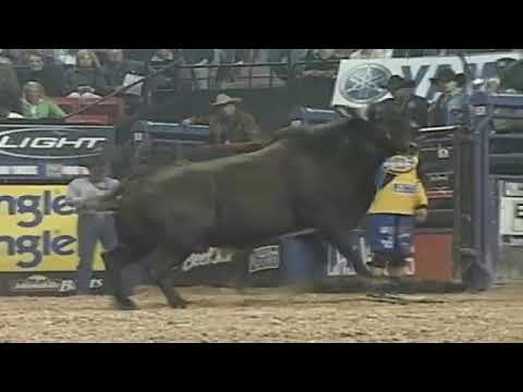 Just a Dream bucks Mark Lopes - 06 PBR Finals
