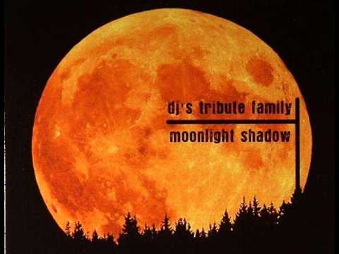 DJ's Tribute Family - Moonlight Shadow (Just Addiction Remix)