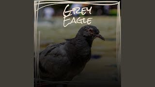 If My Heart Had Windows