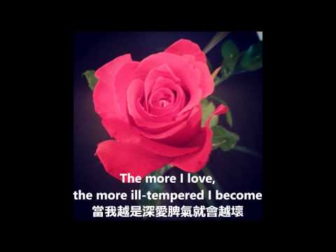 The Shy Rose Blooms Silently 羞答答的玫瑰靜悄悄的開 - Wenting Liao