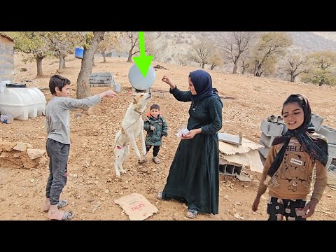 After days of waiting for the children's happiness, the adorable dog returned home