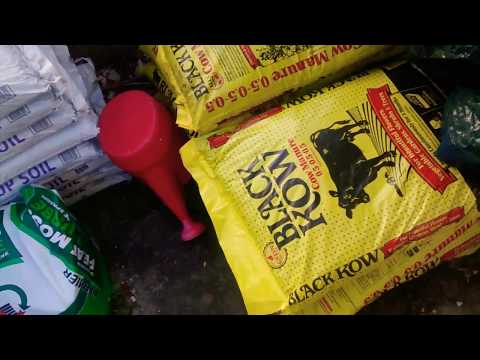 NATURAL WAY THAT PLANTS GET FOOD BLACK KOW MANURE.