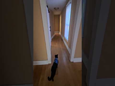 1811 S 16th St #2 - Video 7 of 7