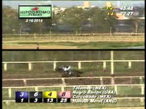 8VA CARRERA DOMINGO 16 DE FEBRERO DEL 2014 HPR