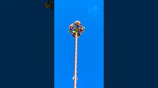 You Have To See This Ritual At The Costa Maya Cruise Port