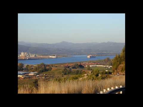 Southern Aristocracy - Mountain Dulcimer