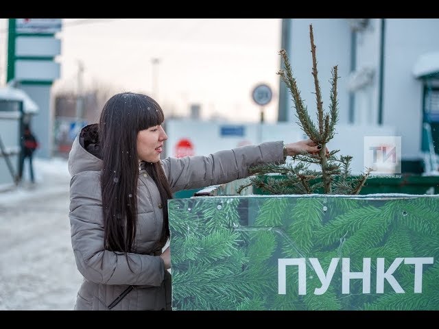В Казани открыт пункт приёма живых ёлок