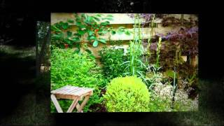 Lifescapes Landscaping Hilton Head Island