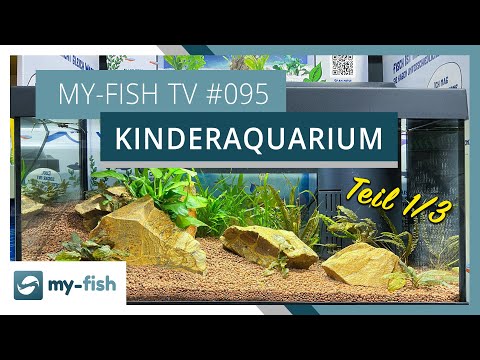 The Children's Aquarium Part 1: The Design | my-fish TV #095