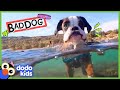 Grumpy Dog Took Our Socks And Towels But Why Dodo Kids Bad Boys Girls