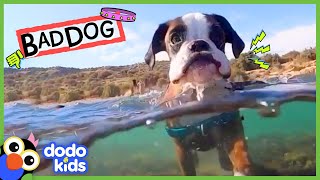 Miniature vidéo