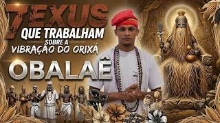 7 EXUS DE OBALUAÊ