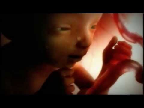 Verloren Erektion nach Prostata Prostata-Gesundheit in 90 Tagen. ohne Operation und Drogen