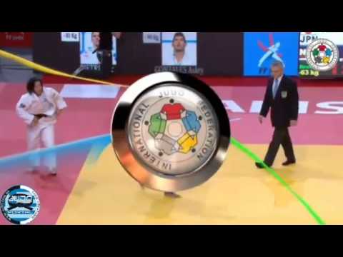 Judo Grand Slam Paris 2014 Bronze -63kg TANAKA Miki (JPN) - VAN EMDEN (NED)