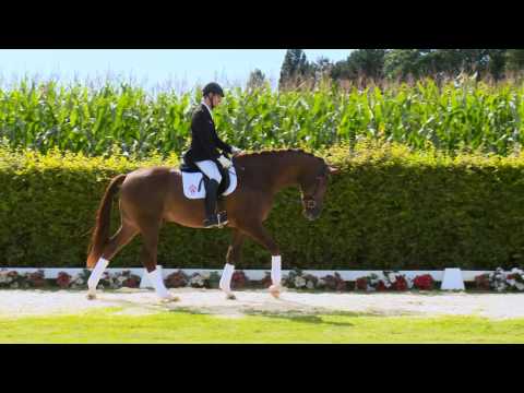 51 Van der Veen  Wallach v. Vitalis - Fidermark