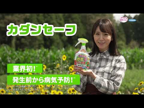 黄色い花を咲かせよう！黄色い花の種類を春・夏・秋・冬の季節ごとに紹介 - For your LIFE