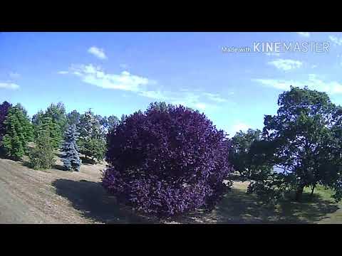 DRK Team Pilot: George Timko (2018.05.21)