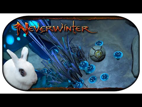 NEVERWINTER: Paladin-LP 🐇 120 - Willkommen im Unterberg