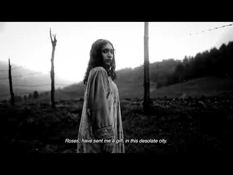 Gulabaw kashmiri song | kashmiri viral songs | kashmiri new song 2024