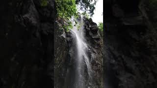preview picture of video 'Dang waterfall  Gujarat India chimer dhodh'