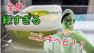 【グリーンパイソン】全身緑のヘビがヤバすぎた！！！