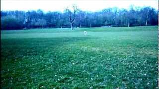 Goldie was Born to Run March 2014.vep4