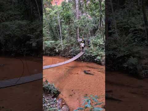 Trilha para base do Cânion Encantado - Almas, Tocantins (Serras Gerais)