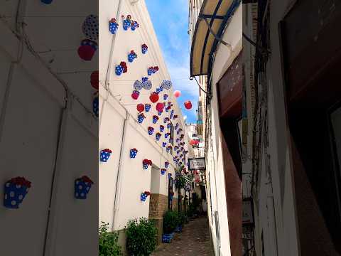 Córdoba,Puerta de Almodóvar ,Caminos de Sefarad,#reisen,#travel,#andalusien,#spanien,#unesco,#patios