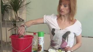 A Guide To Cleaning Silk Flowers