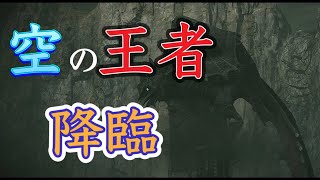空の王者と戦ってたらサイコパス化した【PS4版ワンダと巨像】