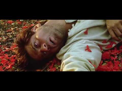 Devdas Movie End Scene | Very Emotional | Shahrukh Khan and Aishwariya Rai