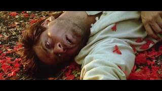 Devdas Movie End Scene  Very Emotional  Shahrukh K