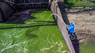 Fishing with GIANT Baits in a MASSIVE Spillway!!! (Big Fish)