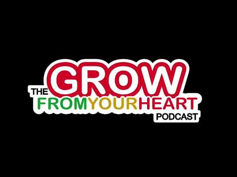 #353 Stitcher, Twitter and Florence