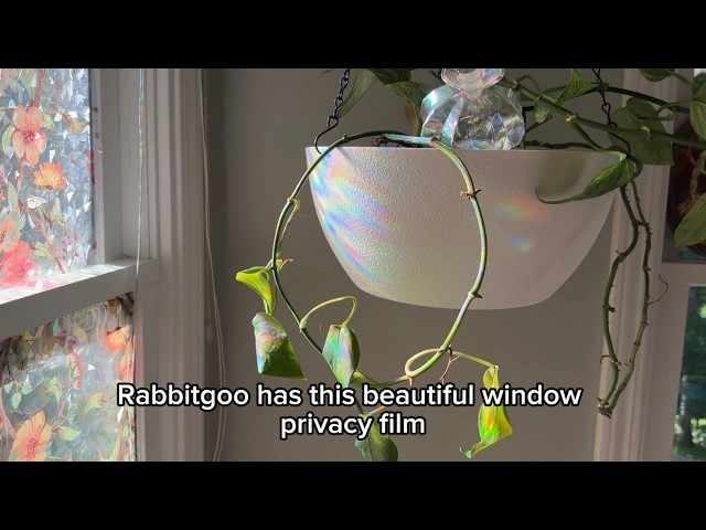 Vídeo relacionado con funlife - Película decorativa vegetal con efecto arco iris - Película electrostática para acristalamiento irónico - Hojas azul acuarela 43 x 100 cm