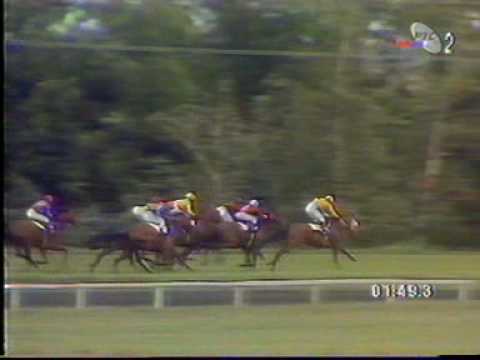 Trka "Kup Vojvodjanske Banke" 1996.godina, Zobnatica