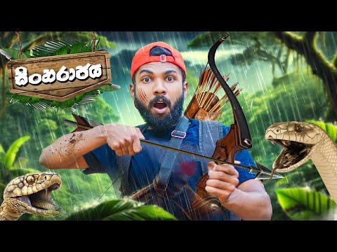 මම සිංහරාජ කැලේ පැය 24ක් හිටියා | I Survive 24 Hours in the Sinharaja Forest